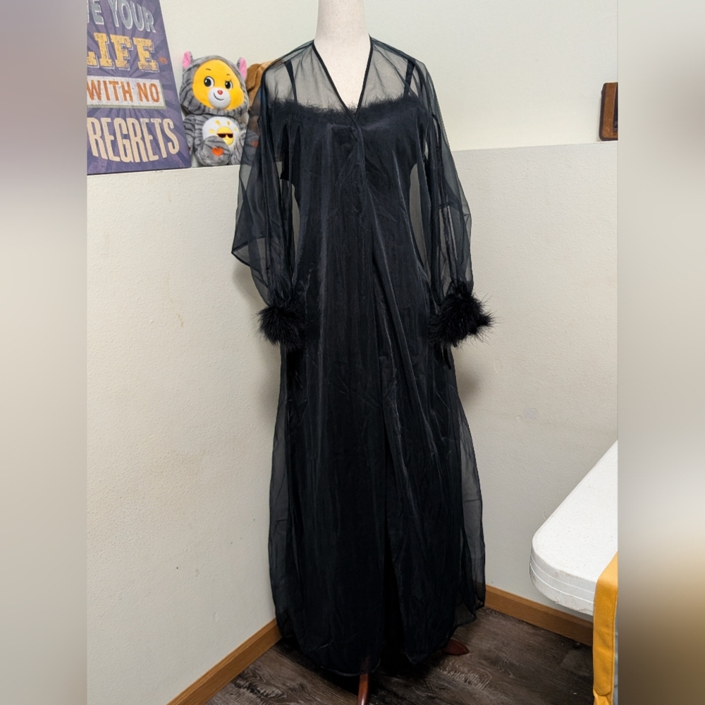 Elegant Black Sheer Chemise